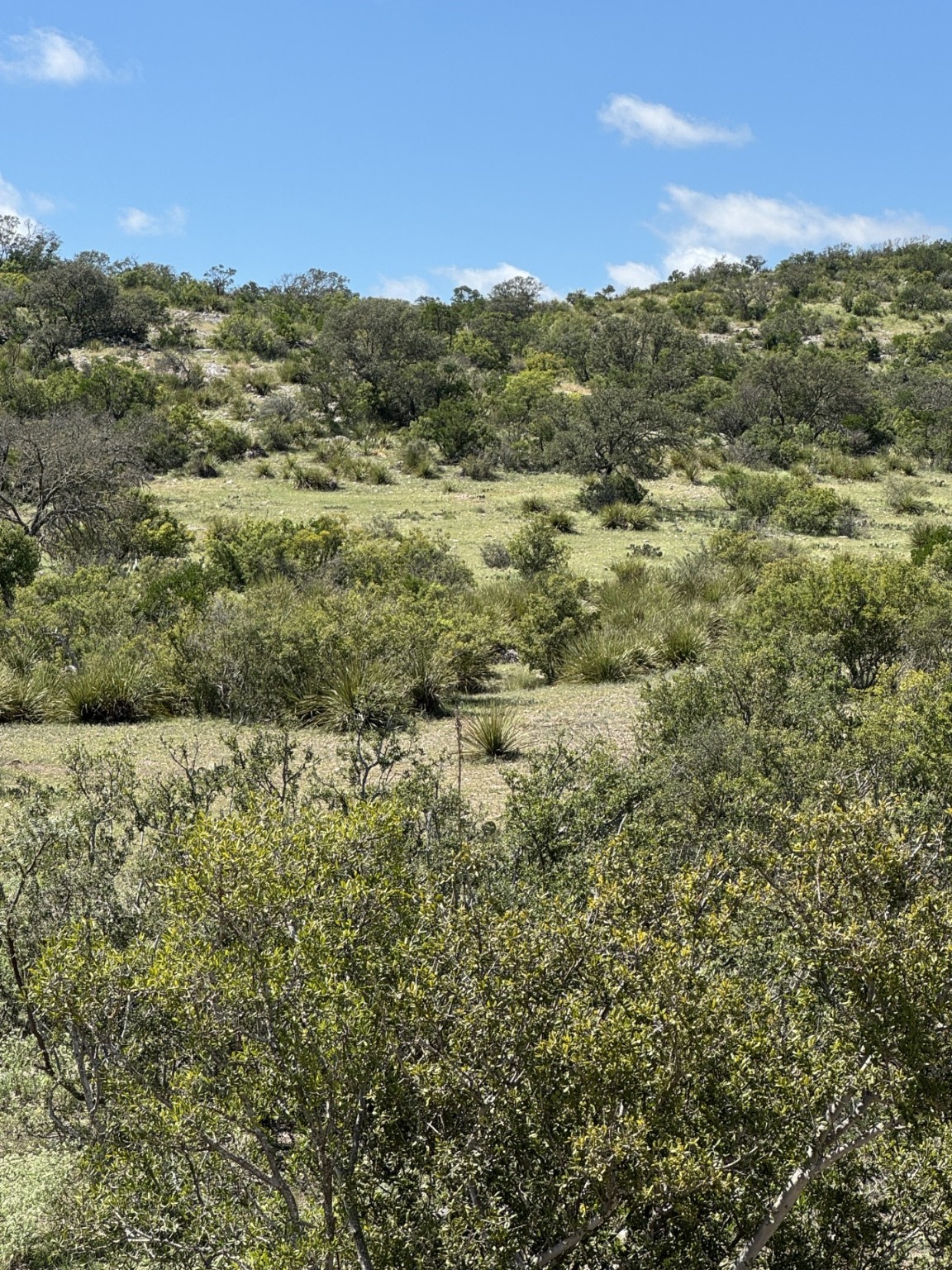Lot 32 Private Road Rocksprings, TX 78880 - Photo 28 of 29
