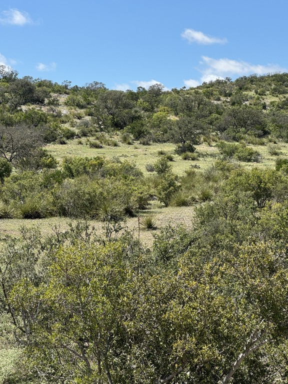 Lot 32 Private Road Rocksprings, TX 78880 - Photo 28 of 29 a view of a forest with mountains in the background