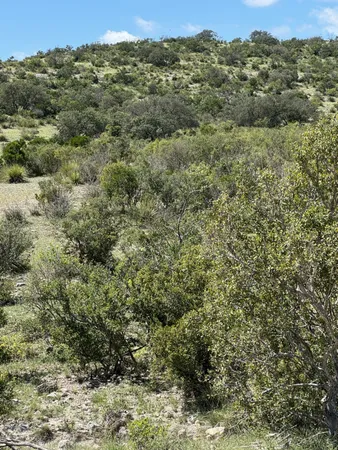 $288,240 | Lot 32 Private Road, Rocksprings, TX 78880