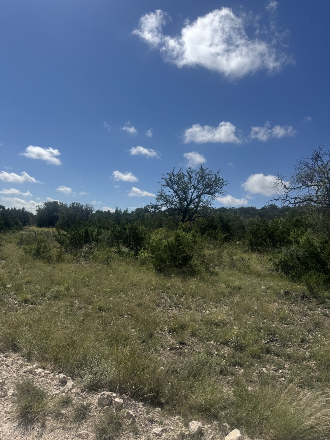 Lot 32 Private Road Rocksprings, TX 78880 - Photo 6 of 29