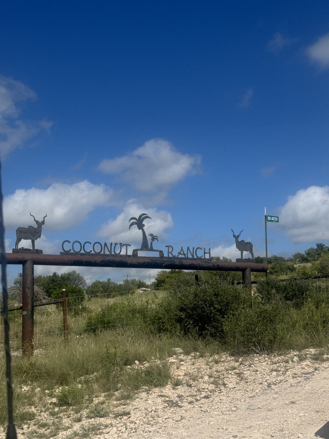 Lot 32 Private Road Rocksprings, TX 78880 - Photo 8 of 29