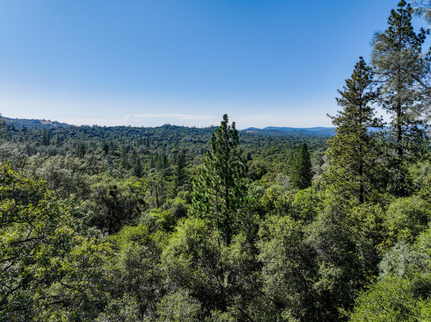 16970 Southridge Road Penn Valley, CA 95946 - Photo 42 of 45