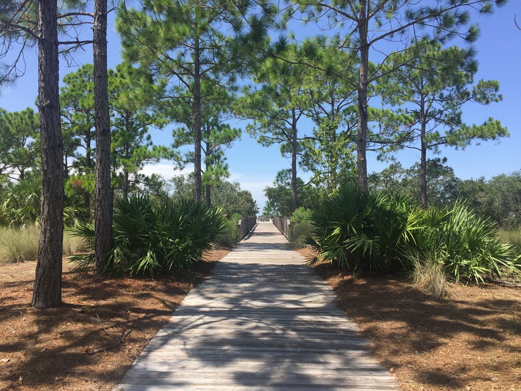 730 Backwater Road Port St. Joe, FL 32456 - Photo 27 of 35