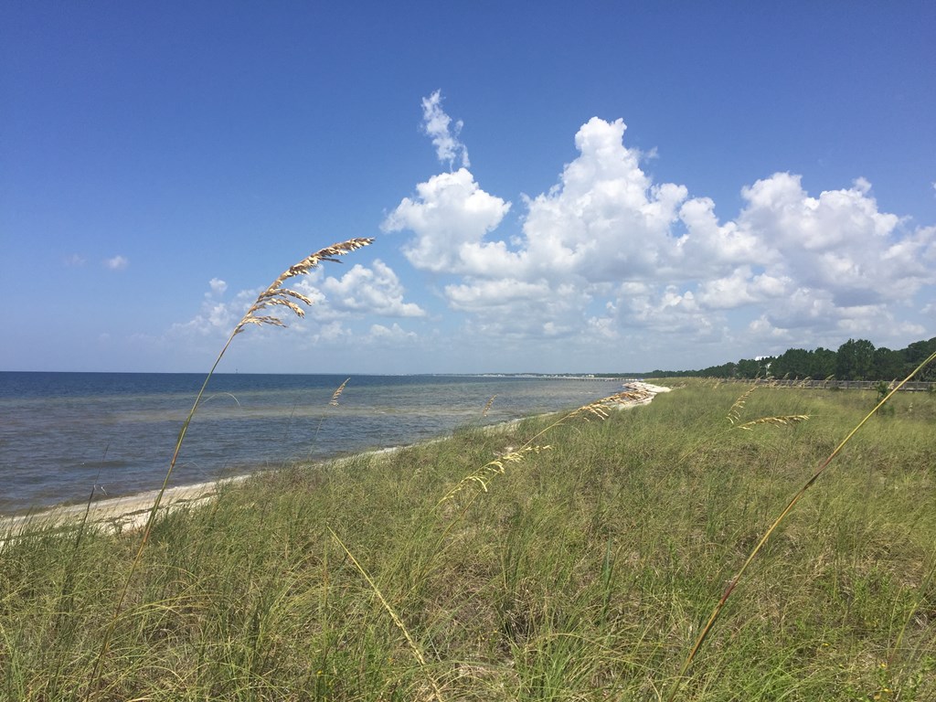 730 Backwater Road Port St. Joe, FL 32456 - Photo 31 of 35
