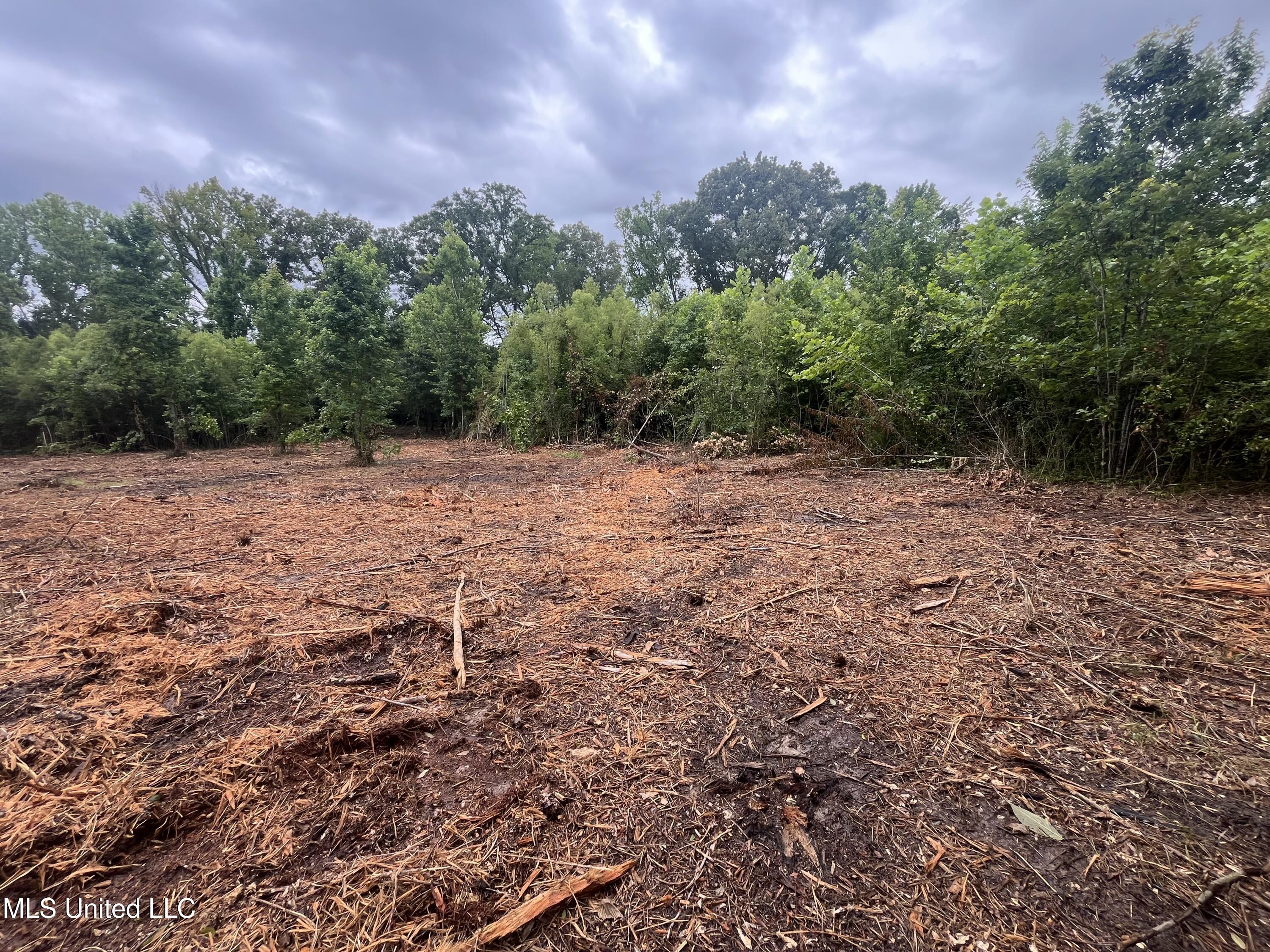 0 Ms-18 Raymond, MS 39154 - Photo 13 of 22 IMG_1716