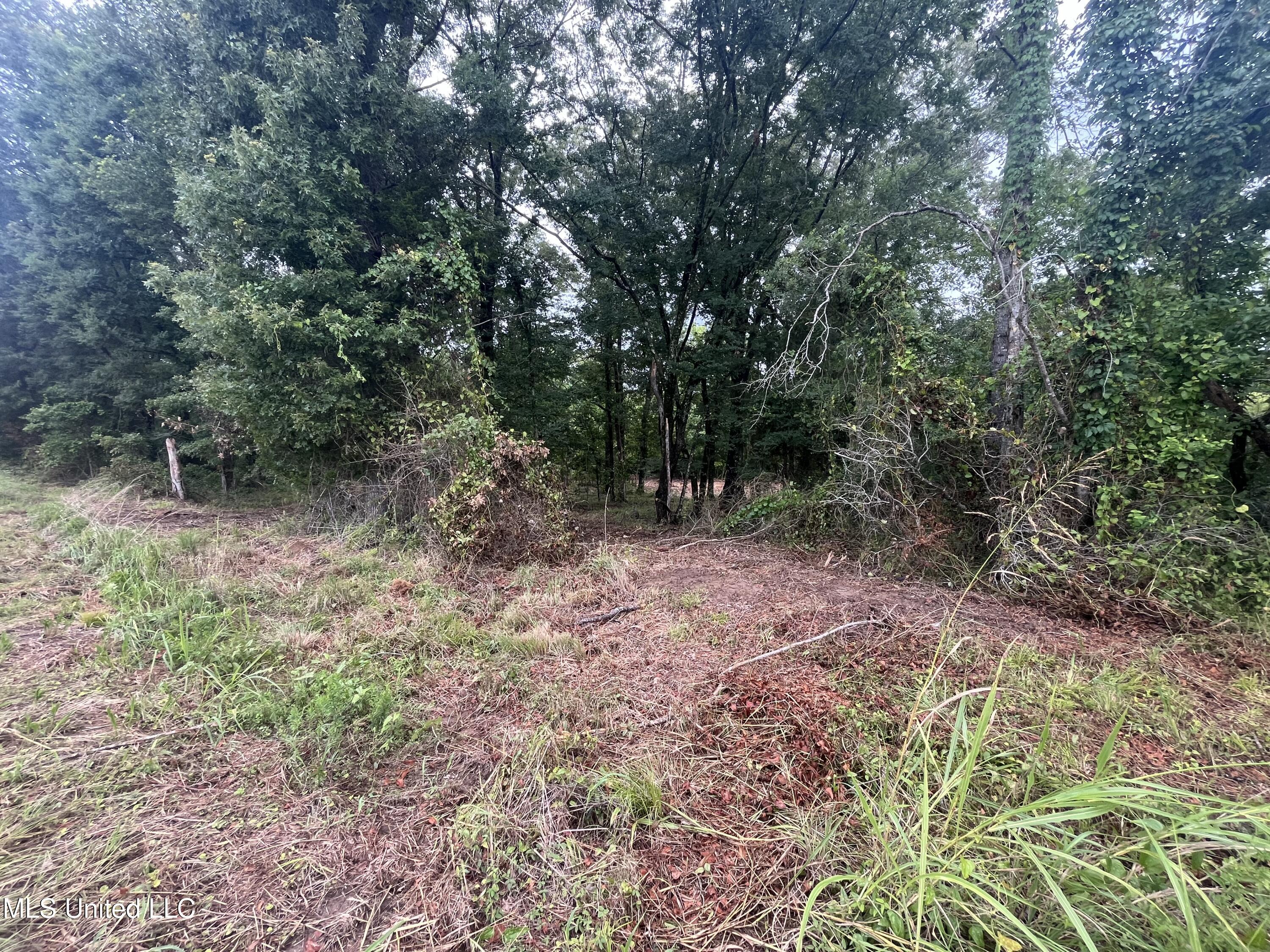 0 Ms-18 Raymond, MS 39154 - Photo 16 of 22 IMG_1719