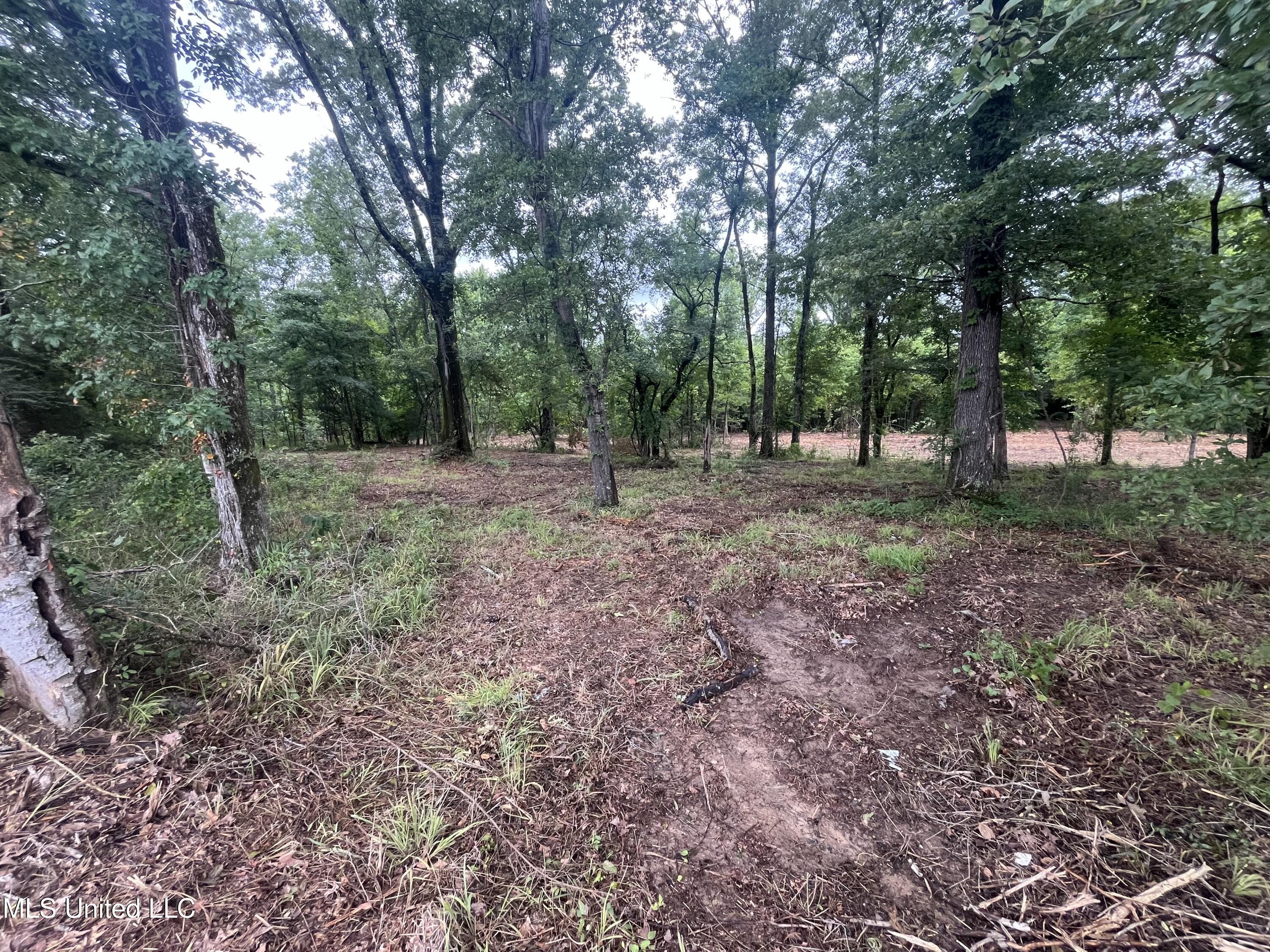 0 Ms-18 Raymond, MS 39154 - Photo 18 of 22 IMG_1721