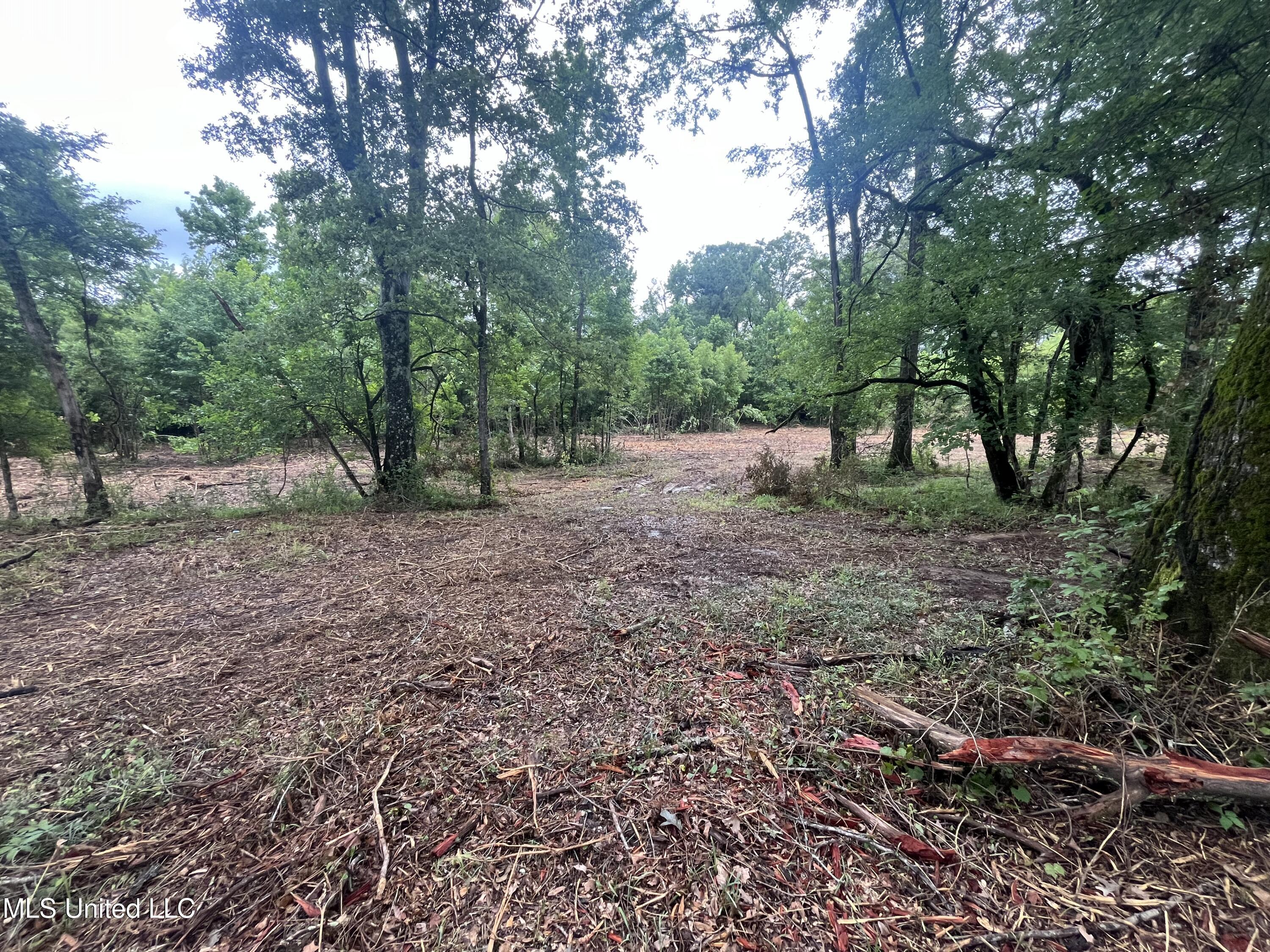 0 Ms-18 Raymond, MS 39154 - Photo 19 of 22 IMG_1722