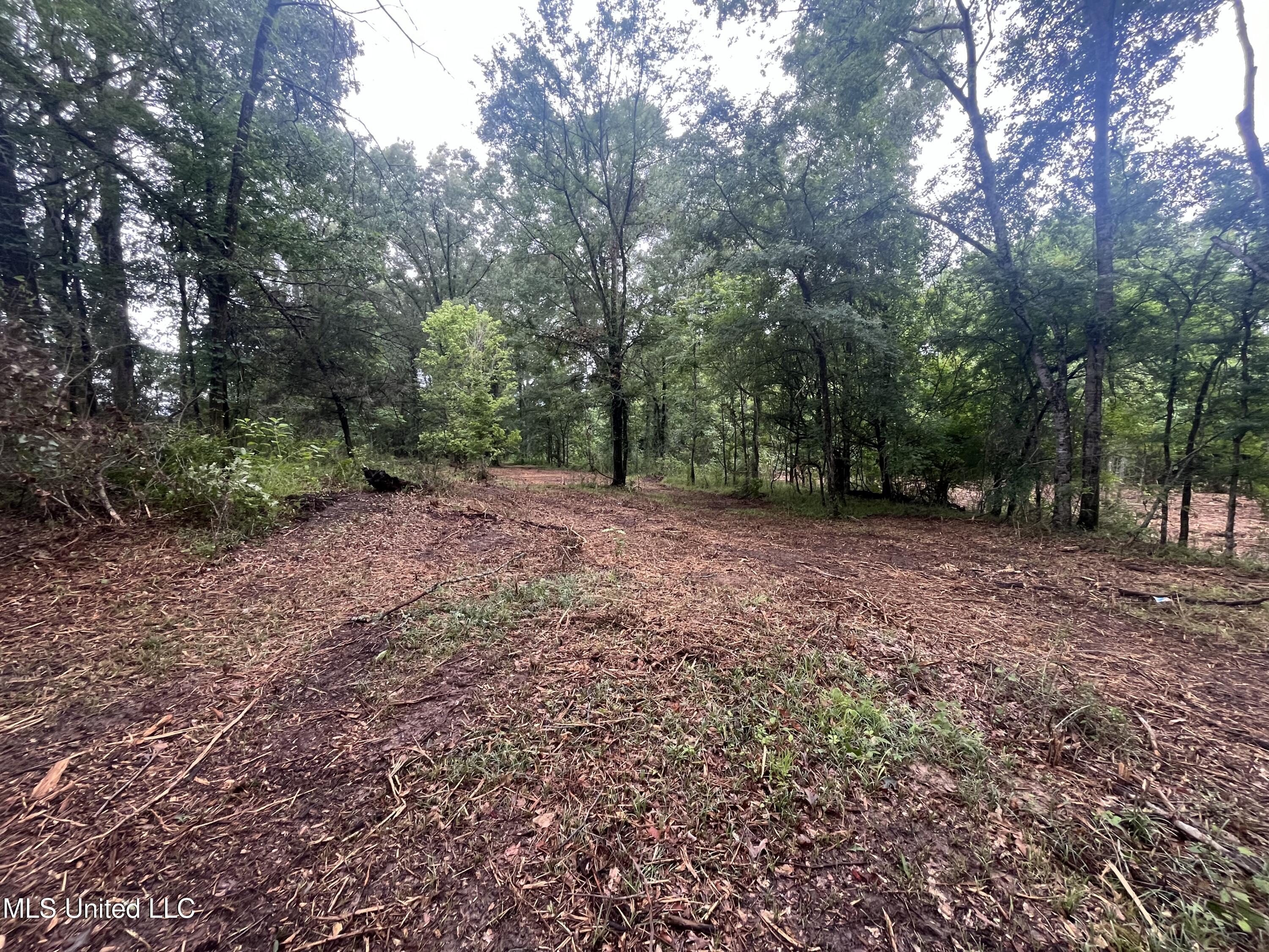 0 Ms-18 Raymond, MS 39154 - Photo 20 of 22 IMG_1723