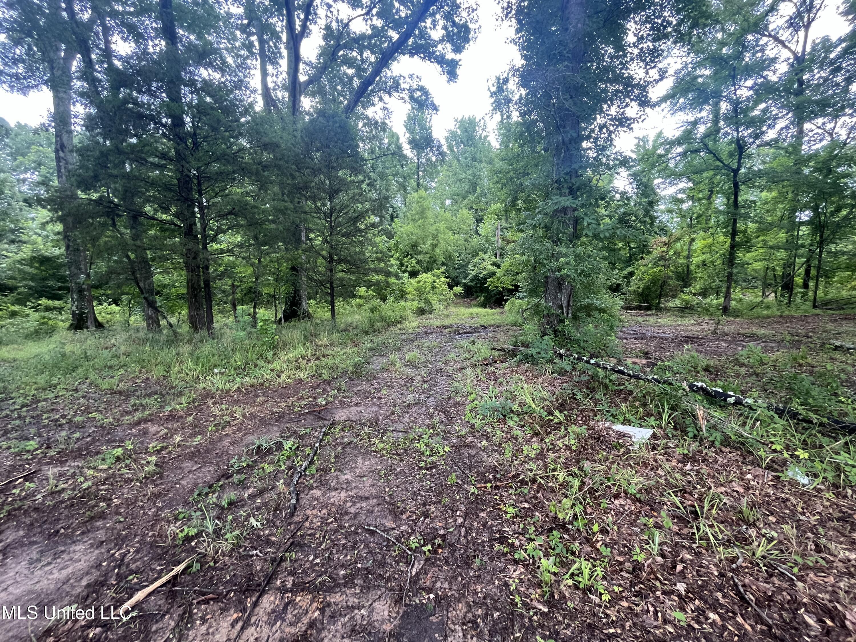 0 Ms-18 Raymond, MS 39154 - Photo 2 of 22 IMG_1728