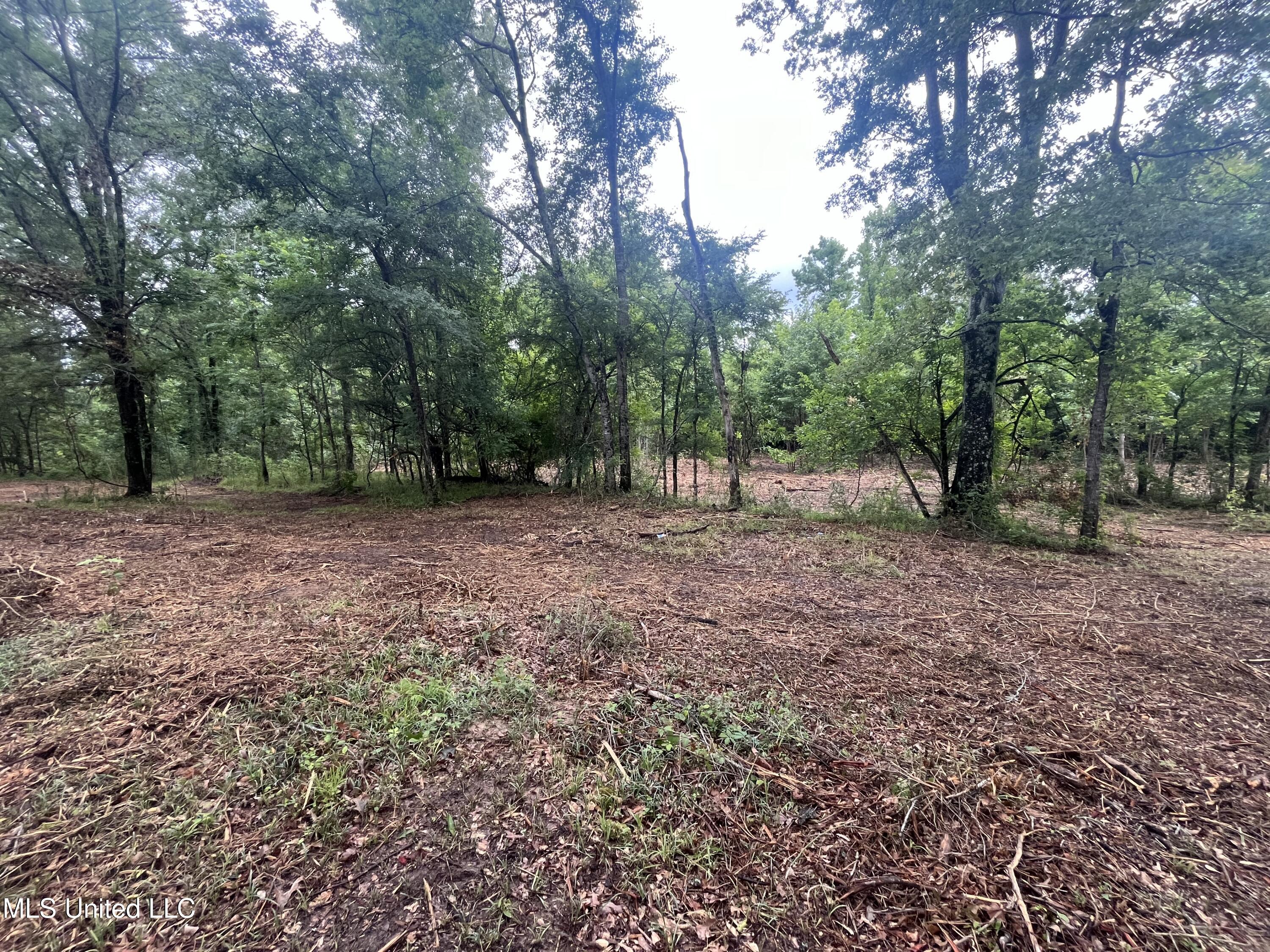 0 Ms-18 Raymond, MS 39154 - Photo 21 of 22 IMG_1724