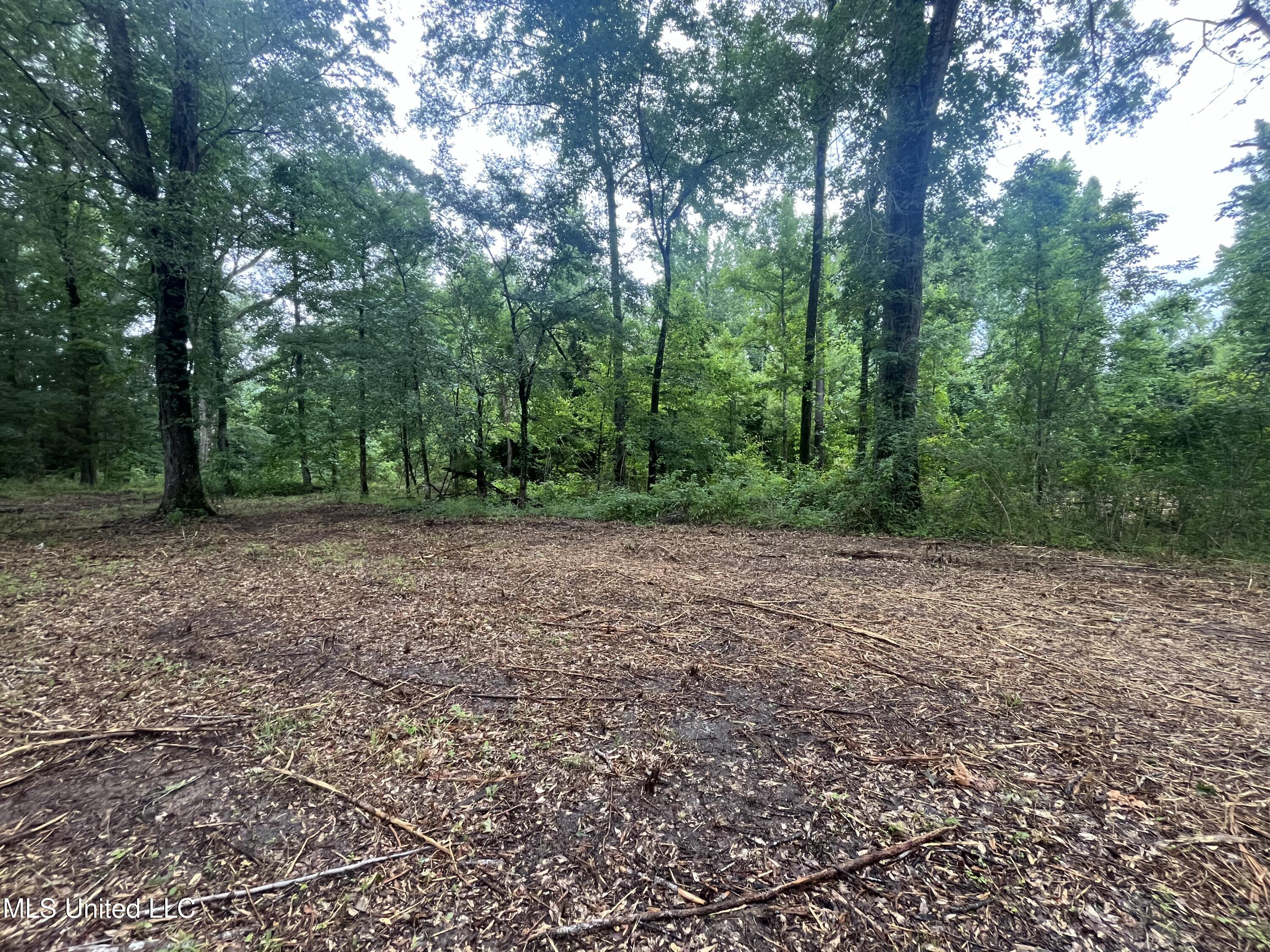 0 Ms-18 Raymond, MS 39154 - Photo 3 of 22 IMG_1726