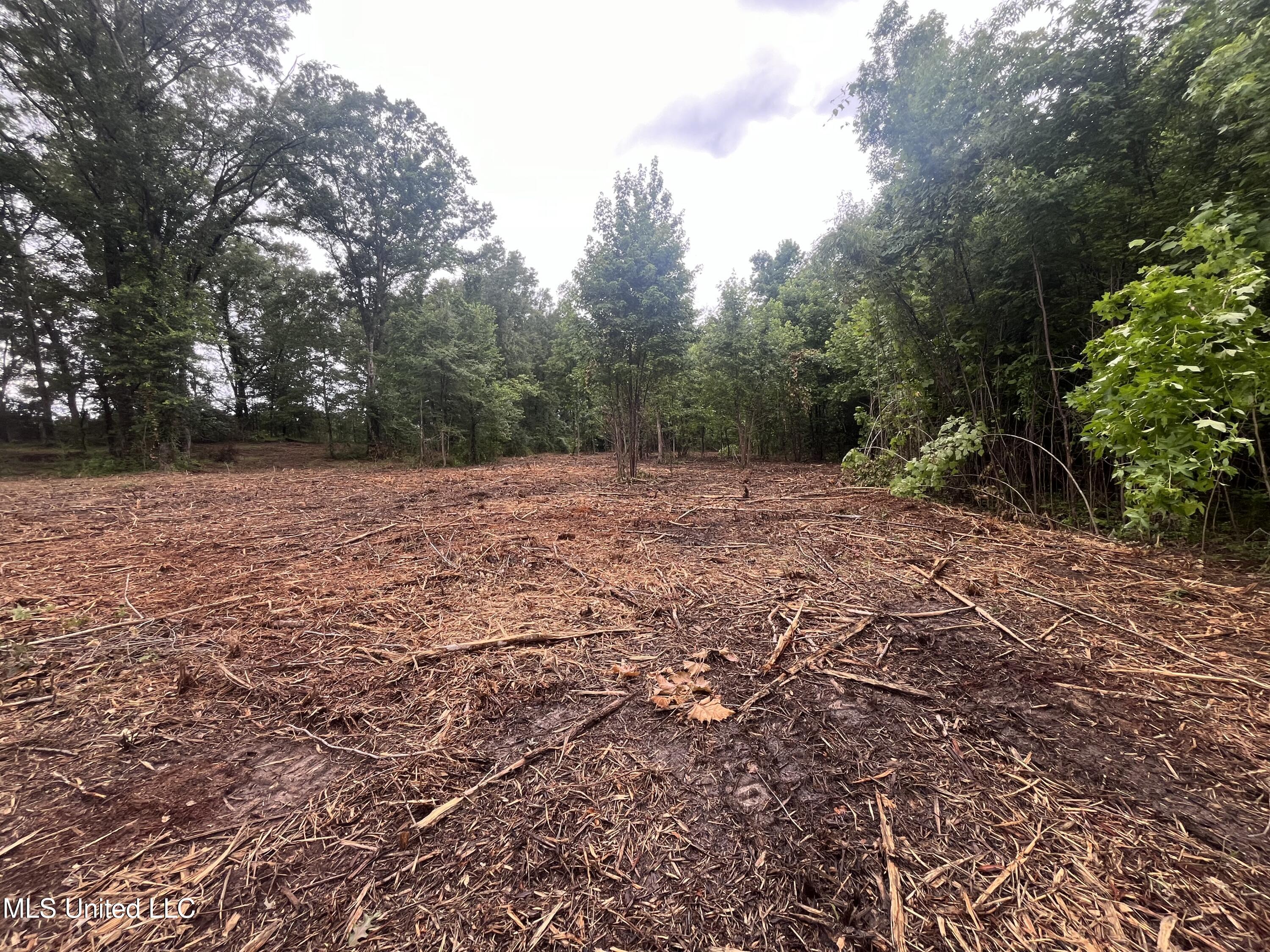 0 Ms-18 Raymond, MS 39154 - Photo 4 of 22 IMG_1707