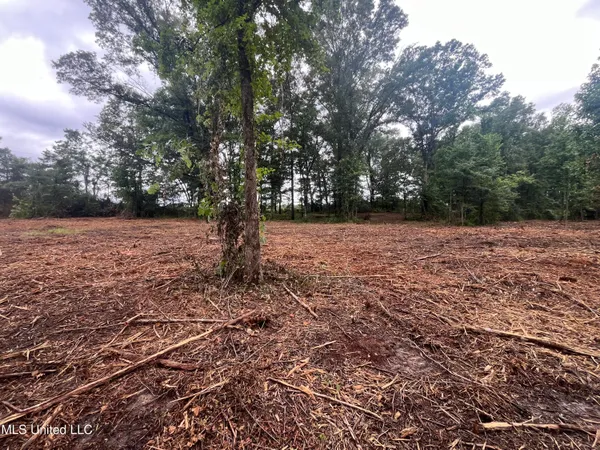 $485,000 | 0 Ms-18, Raymond, MS 39154