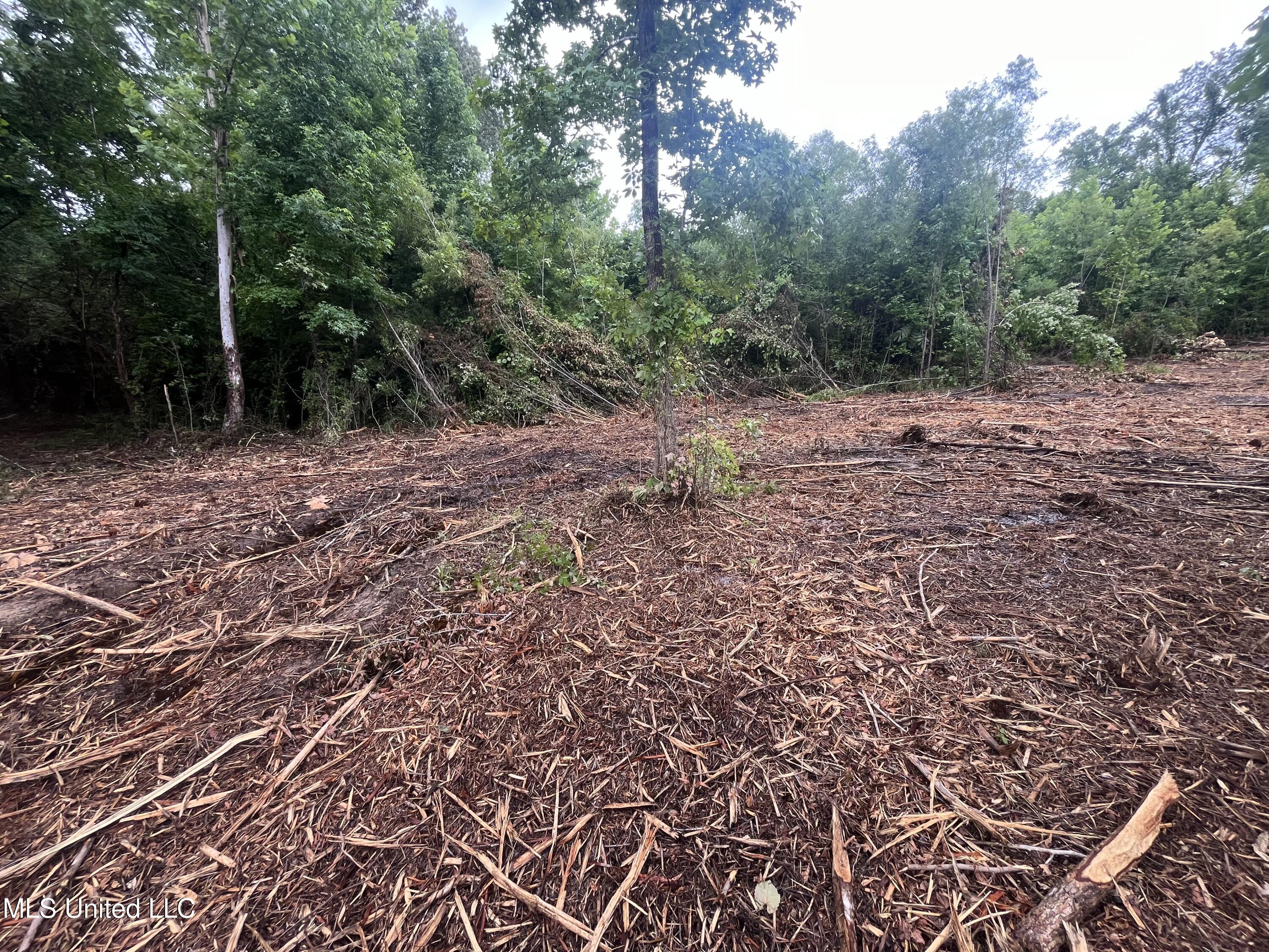 0 Ms-18 Raymond, MS 39154 - Photo 6 of 22 IMG_1709