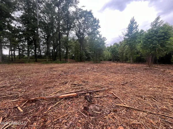 $485,000 | 0 Ms-18, Raymond, MS 39154