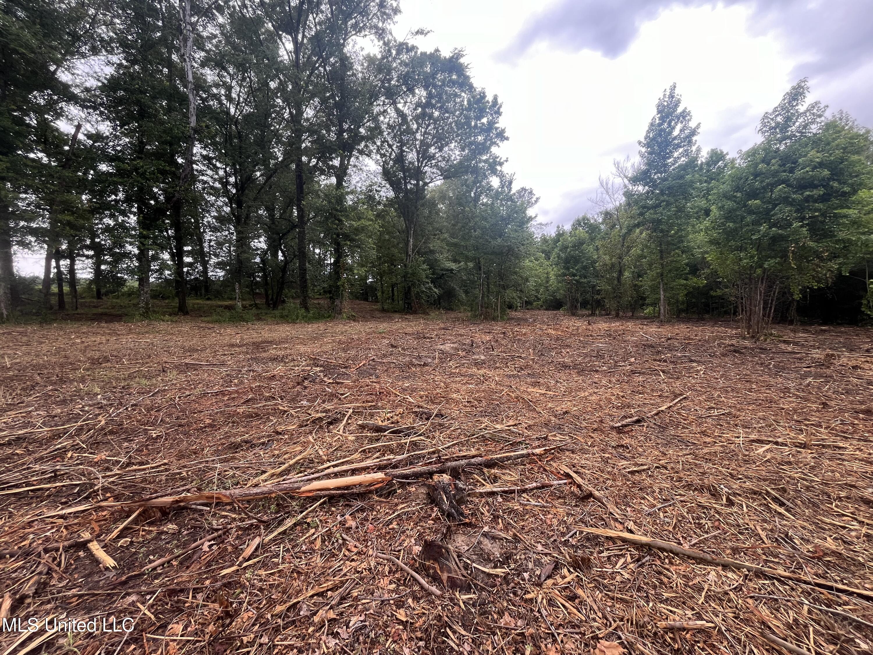 0 Ms-18 Raymond, MS 39154 - Photo 7 of 22 IMG_1710