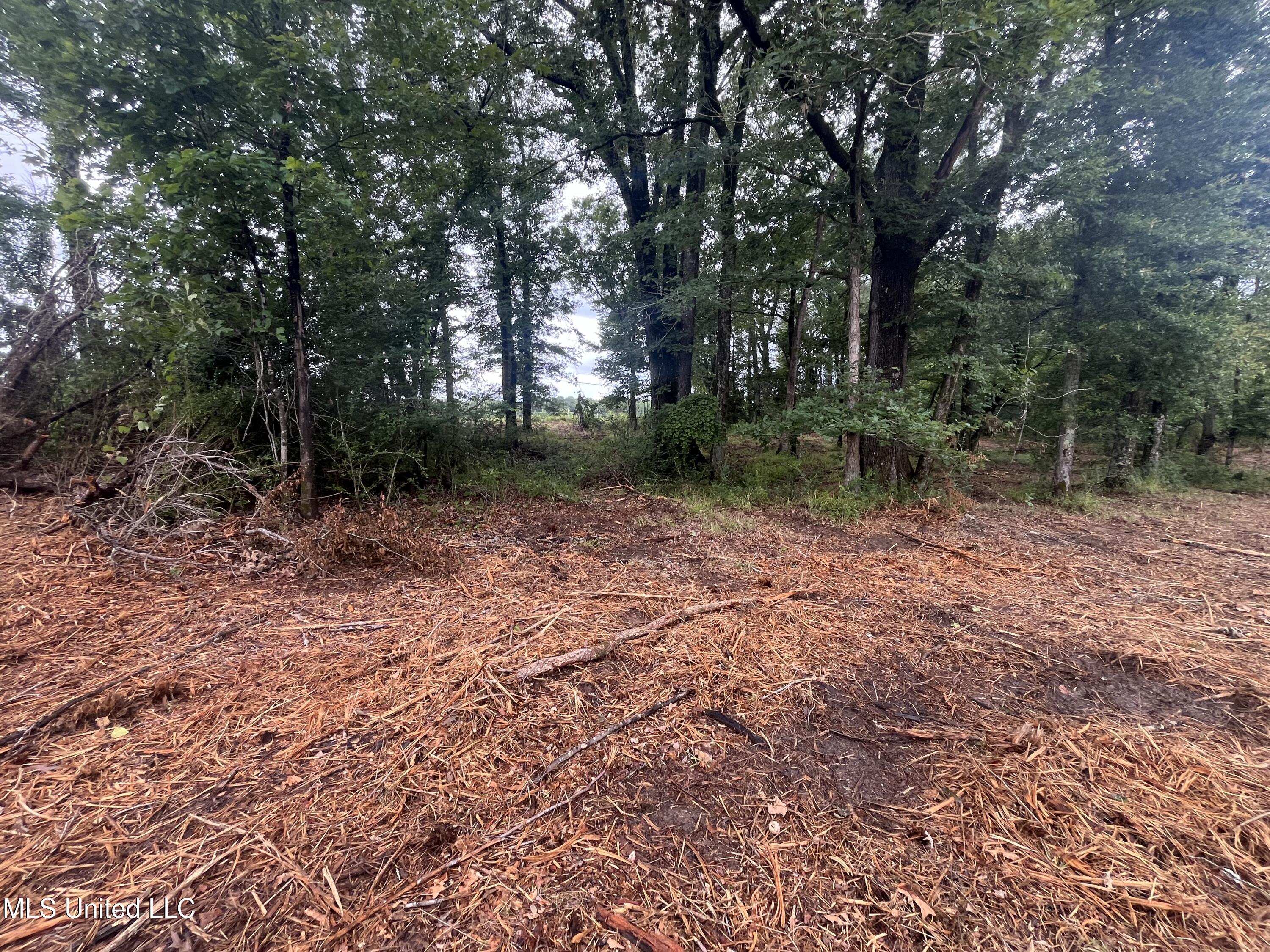 0 Ms-18 Raymond, MS 39154 - Photo 8 of 22 IMG_1711