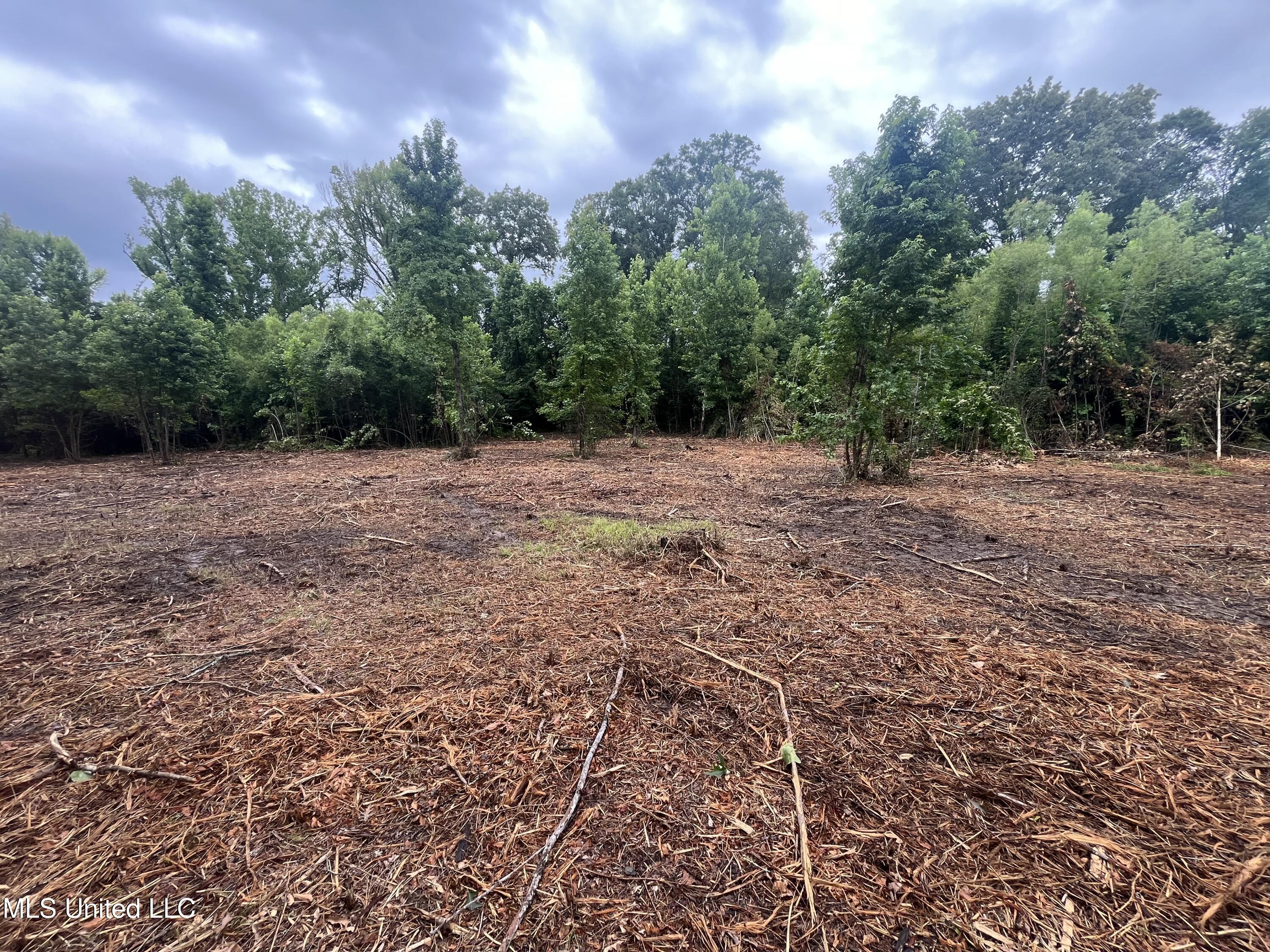 0 Ms-18 Raymond, MS 39154 - Photo 10 of 22 IMG_1713