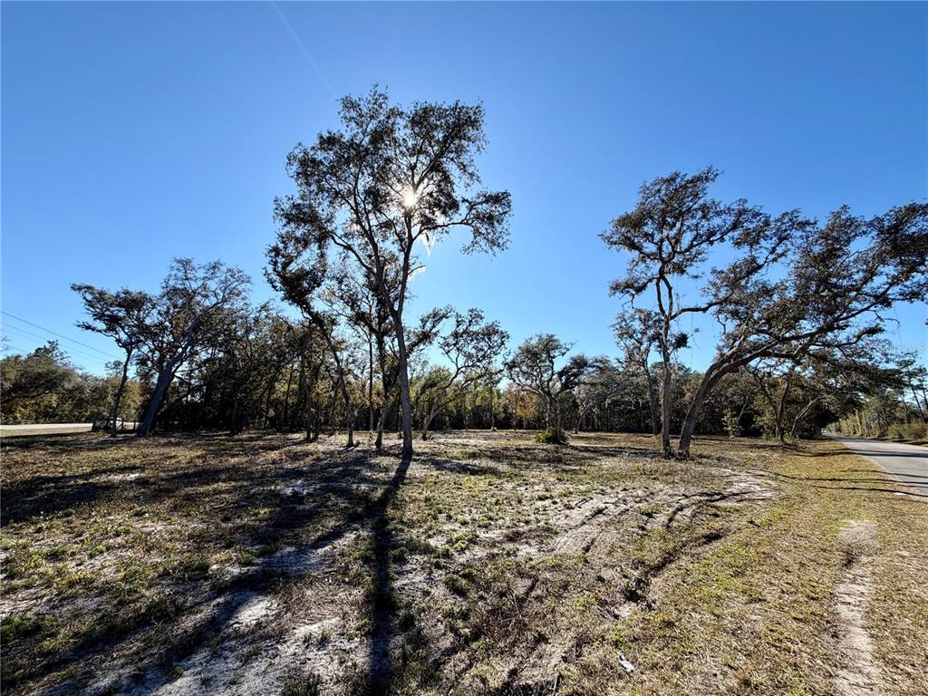 Tbd Northeast 220th Street Fort McCoy, FL 32134 - Photo 11 of 13