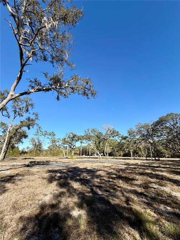 Tbd Northeast 220th Street Fort McCoy, FL 32134 - Photo 12 of 13