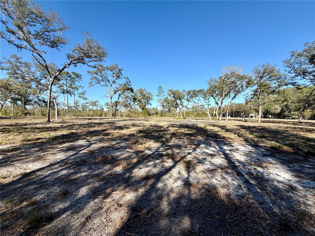 Tbd Northeast 220th Street Fort McCoy, FL 32134 - Photo 13 of 13