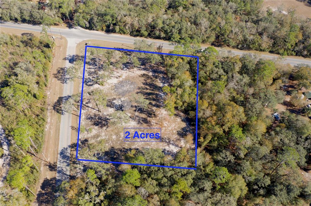 Tbd Northeast 220th Street Fort McCoy, FL 32134 - Photo 2 of 13