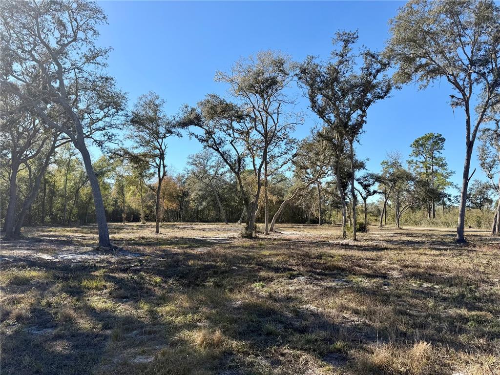 Tbd Northeast 220th Street Fort McCoy, FL 32134 - Photo 3 of 13