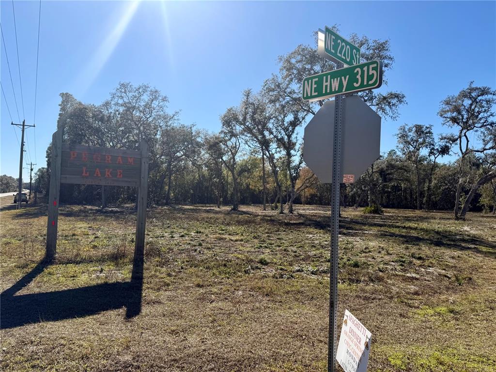 Tbd Northeast 220th Street Fort McCoy, FL 32134 - Photo 7 of 13