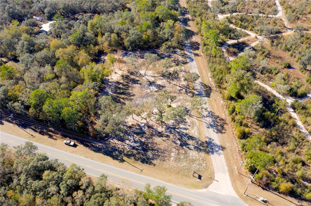 Tbd Northeast 220th Street Fort McCoy, FL 32134 - Photo 8 of 13