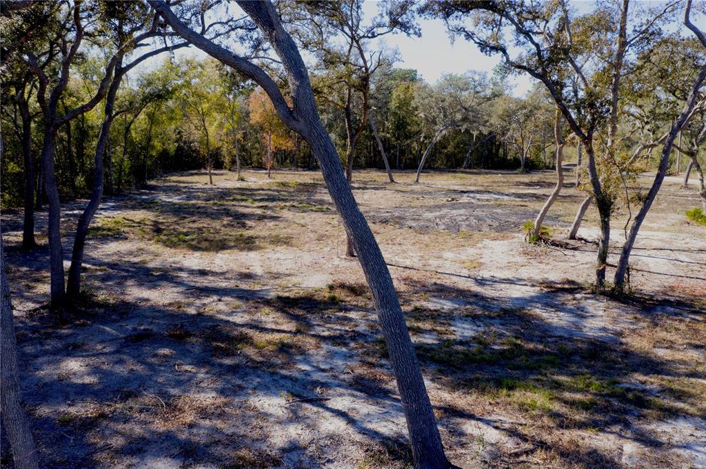 Tbd Northeast 220th Street Fort McCoy, FL 32134 - Photo 9 of 13