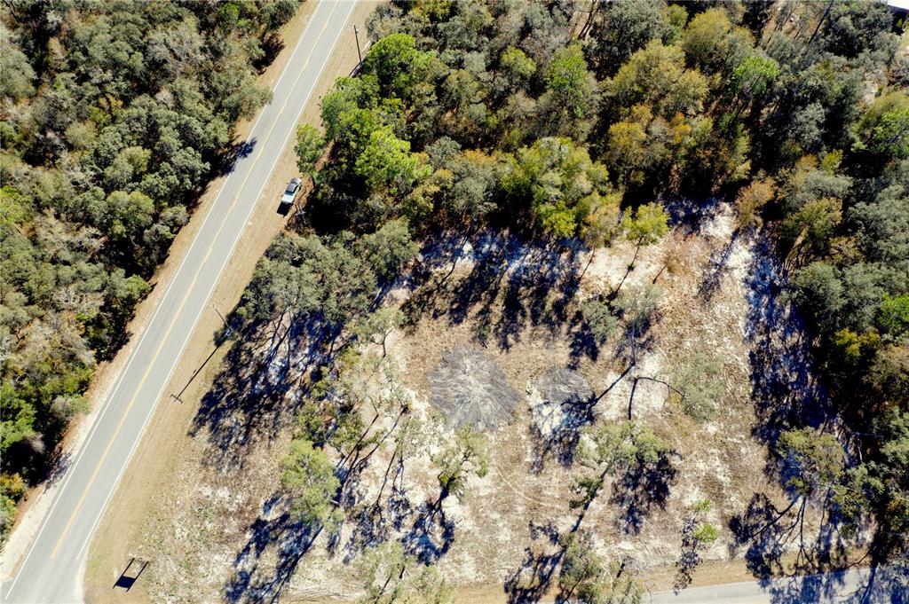 Tbd Northeast 220th Street Fort McCoy, FL 32134 - Photo 10 of 13