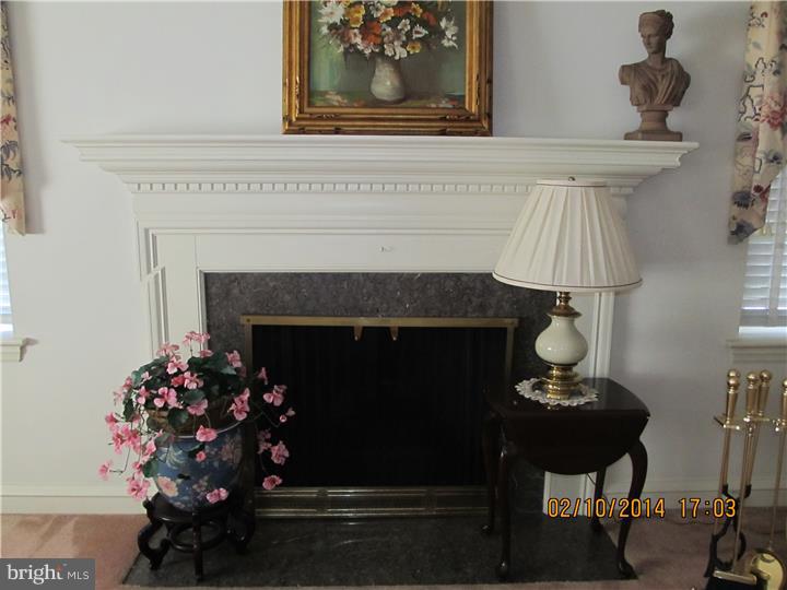 529 Broadview Road Upper Darby, PA 19082 - Photo 4 of 19 Fireplace