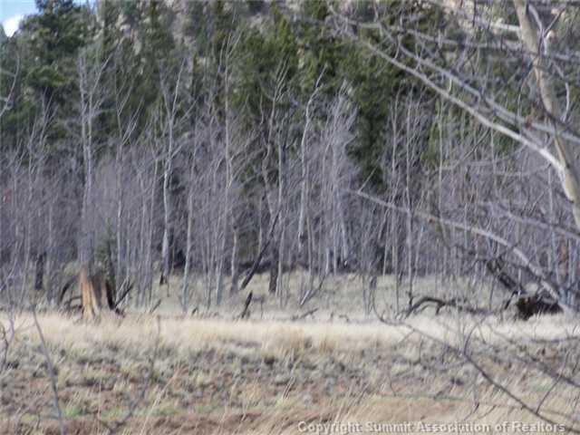 1579 Signal Ridge Road Como, CO 80432 - Photo 3 of 11 Gallery Image 3