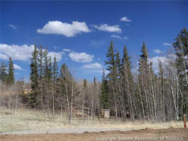 1579 Signal Ridge Road Como, CO 80432 - Photo 4 of 11 Gallery Image 4