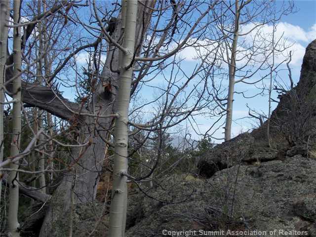 1579 Signal Ridge Road Como, CO 80432 - Photo 8 of 11 Gallery Image 8