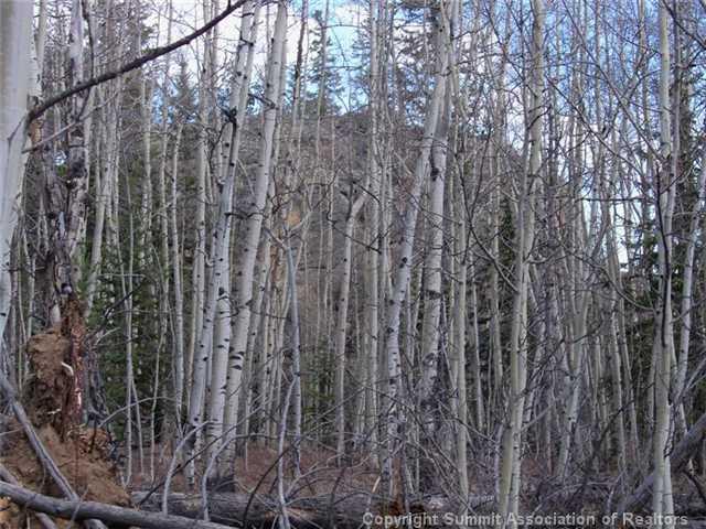 1579 Signal Ridge Road Como, CO 80432 - Photo 10 of 11 Gallery Image 10