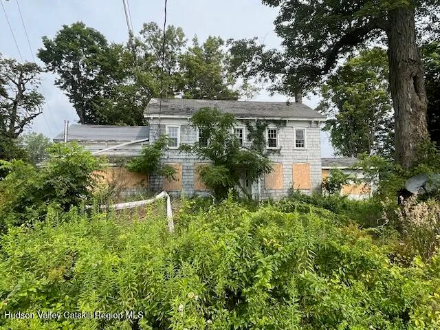 a view of a garden with plants and large trees