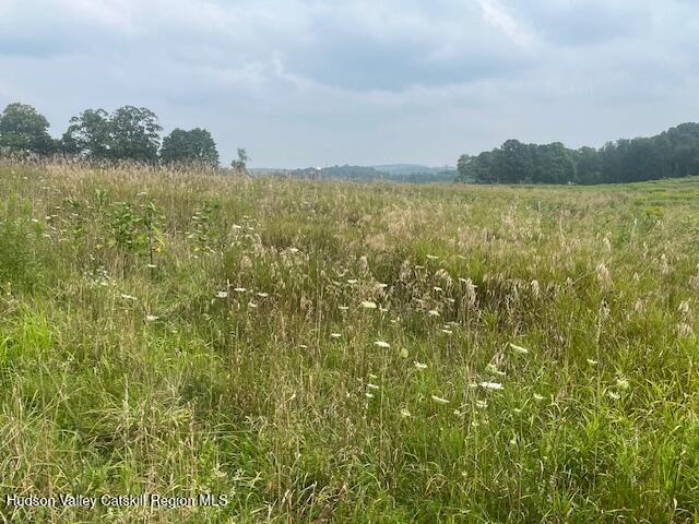 1820 Co Rte 7 Ancram, NY 12502 - Photo 27 of 32 a view of lake and mountain