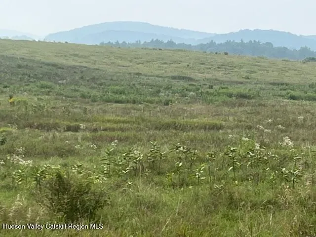a view of a field with trees in the background
