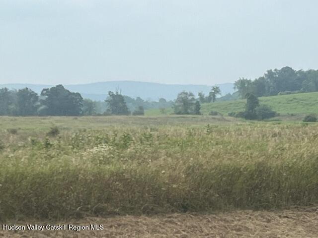 1820 Co Rte 7 Ancram, NY 12502 - Photo 6 of 32 a view of a field with trees in the background