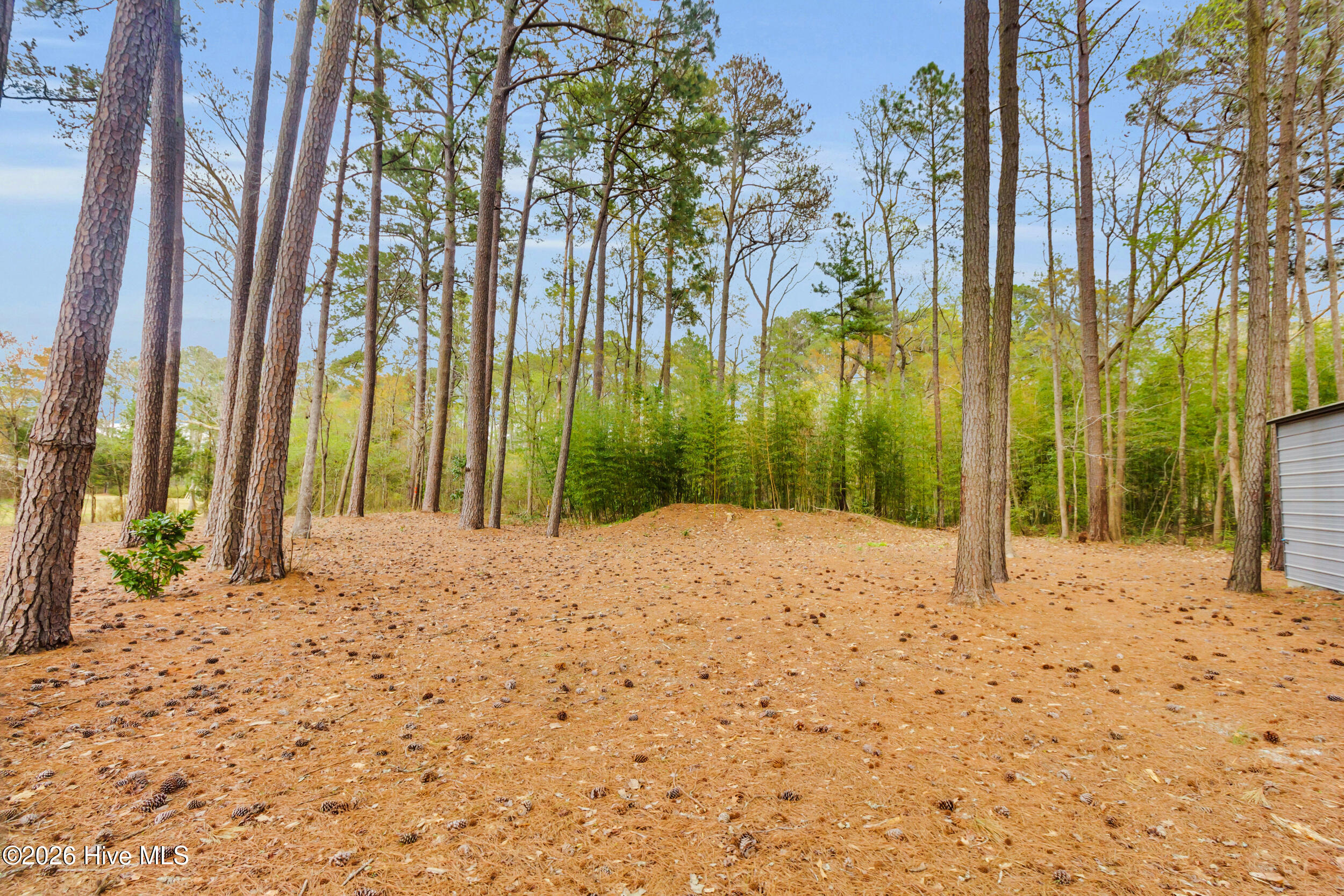 1872 Lynchs Beach Loop Road Bayboro, NC 28515 - Photo 22 of 31 36_20