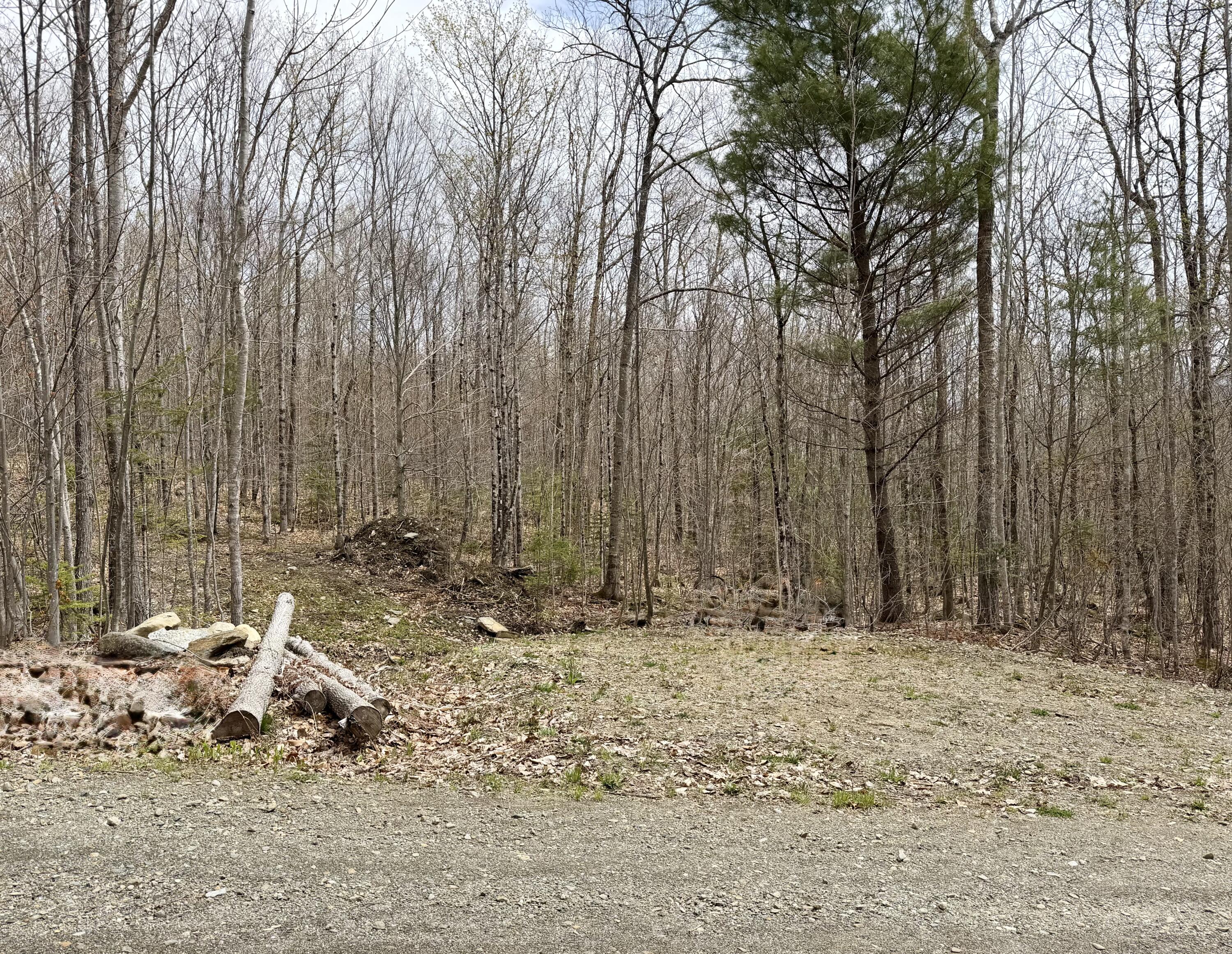 Lot 2 Mooseley Ridge Road Phillips, ME 04966 - Photo 11 of 24