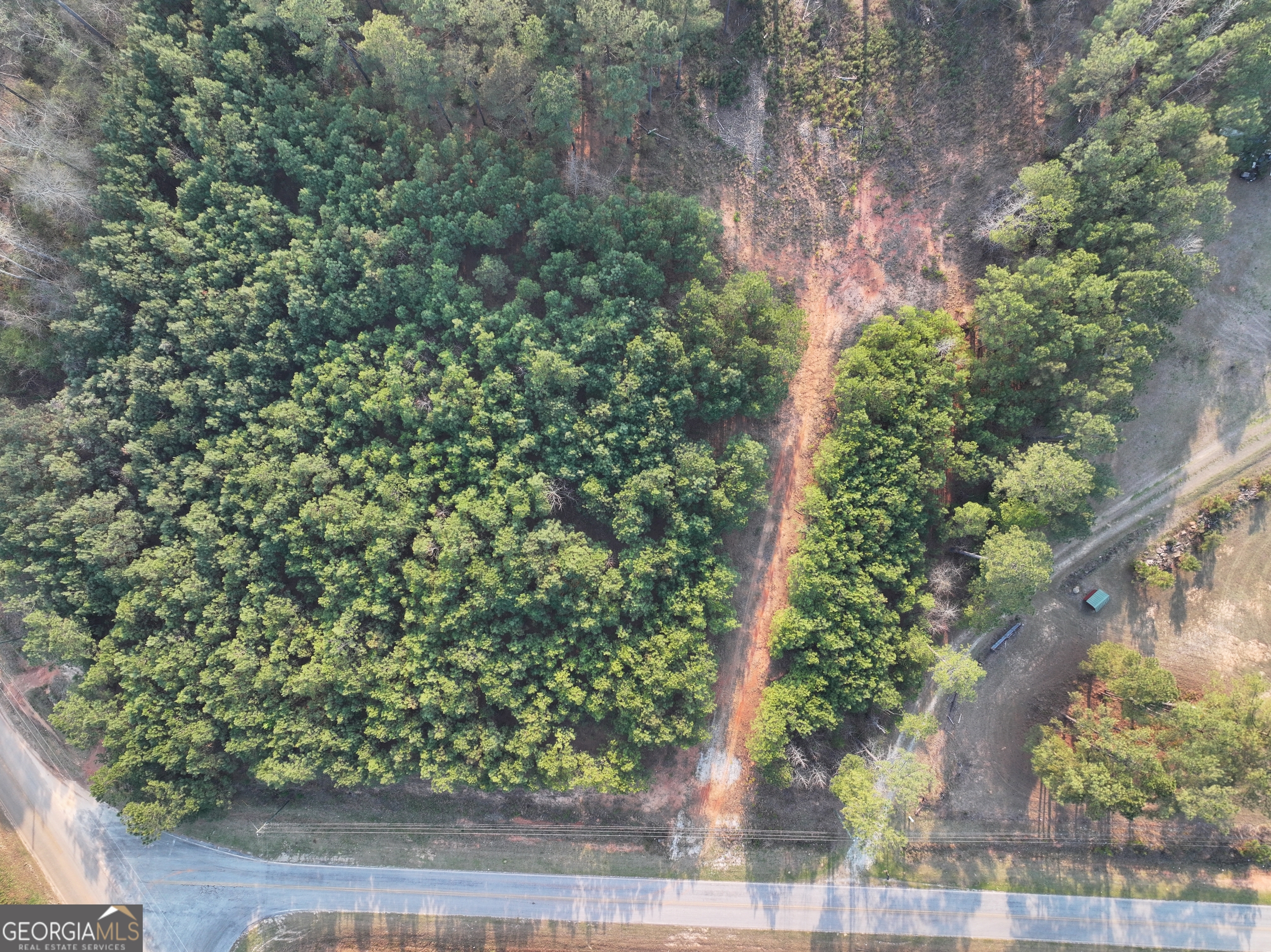 117 Acres On Mccosh Mill Road Franklin, GA 30217 - Photo 6 of 24