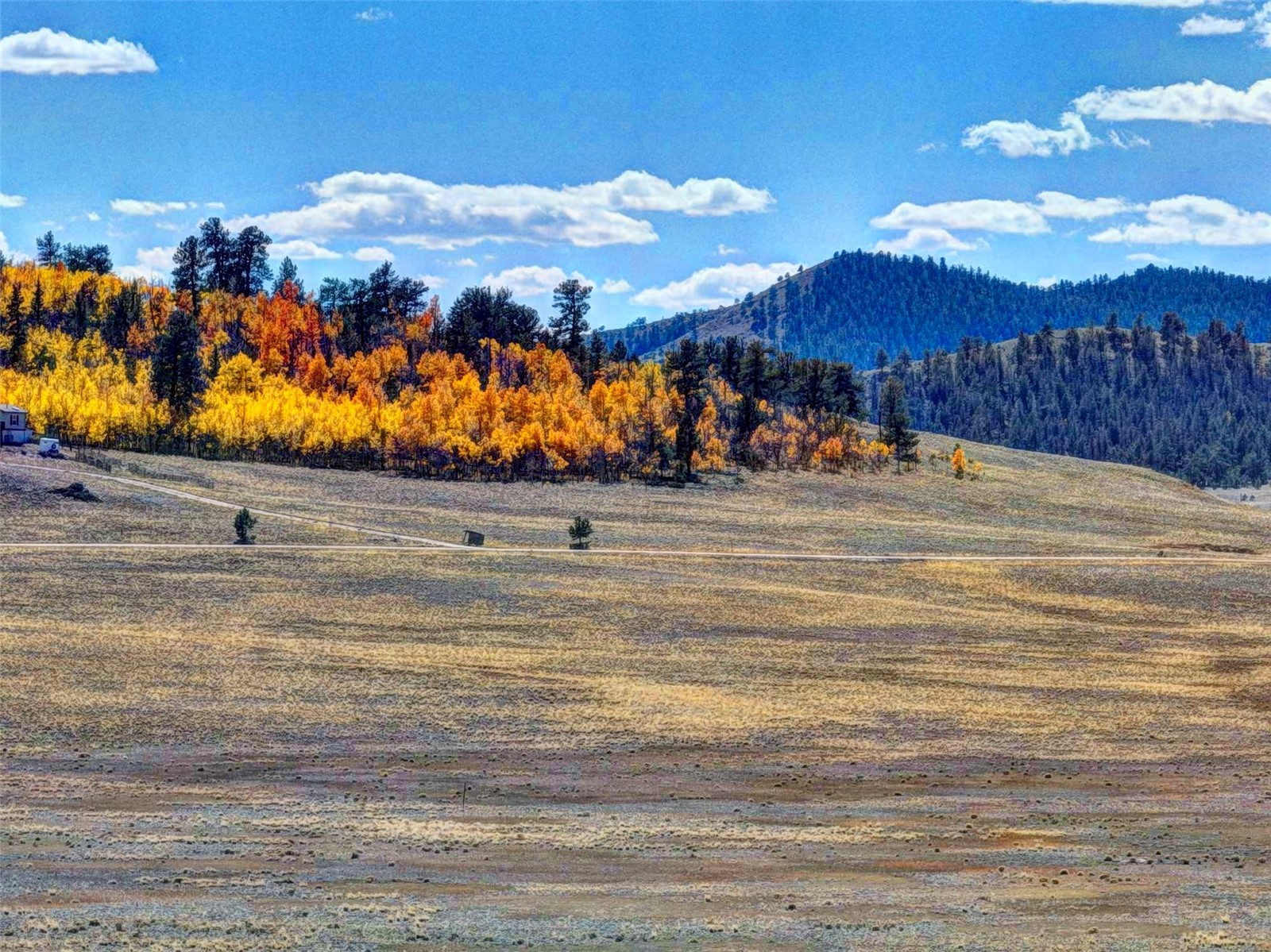236 Cheyenne Trail Hartsel, CO 80449 - Photo 11 of 24 a view of a house with a yard