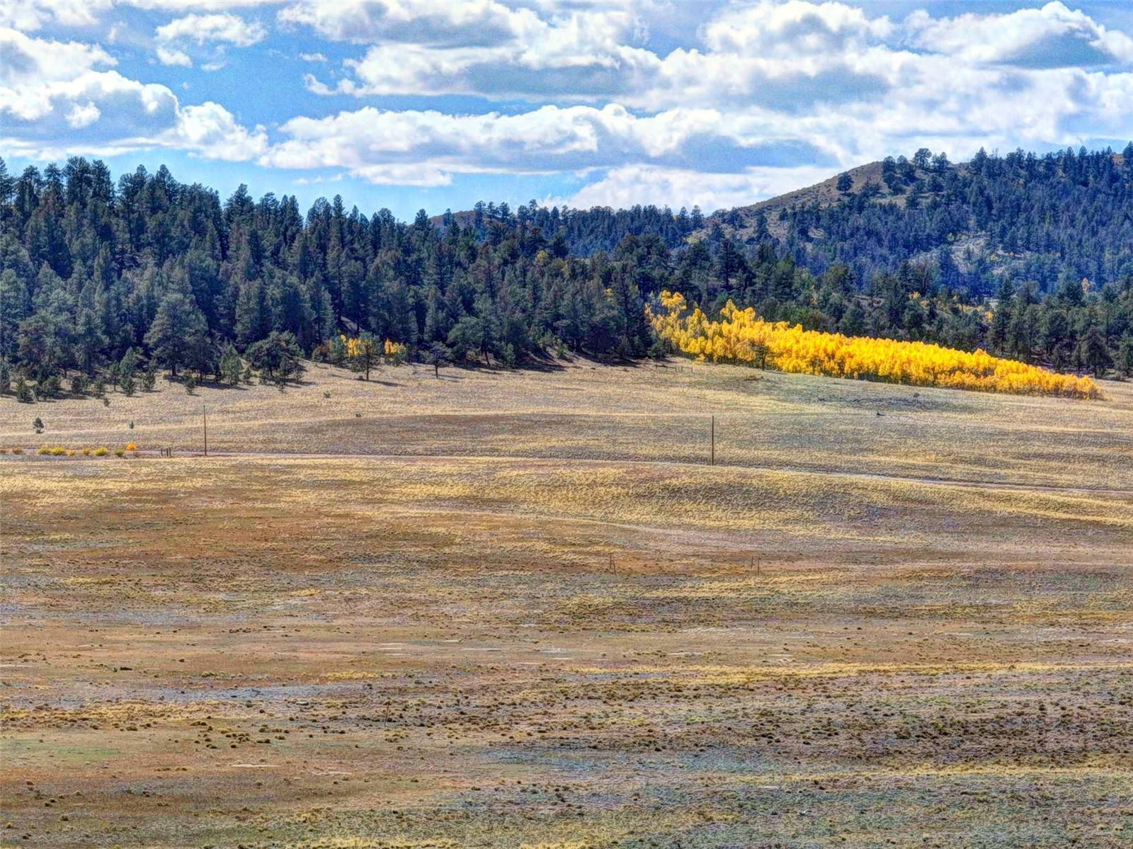 236 Cheyenne Trail Hartsel, CO 80449 - Photo 12 of 24 a view of swimming pool with an ocean beach