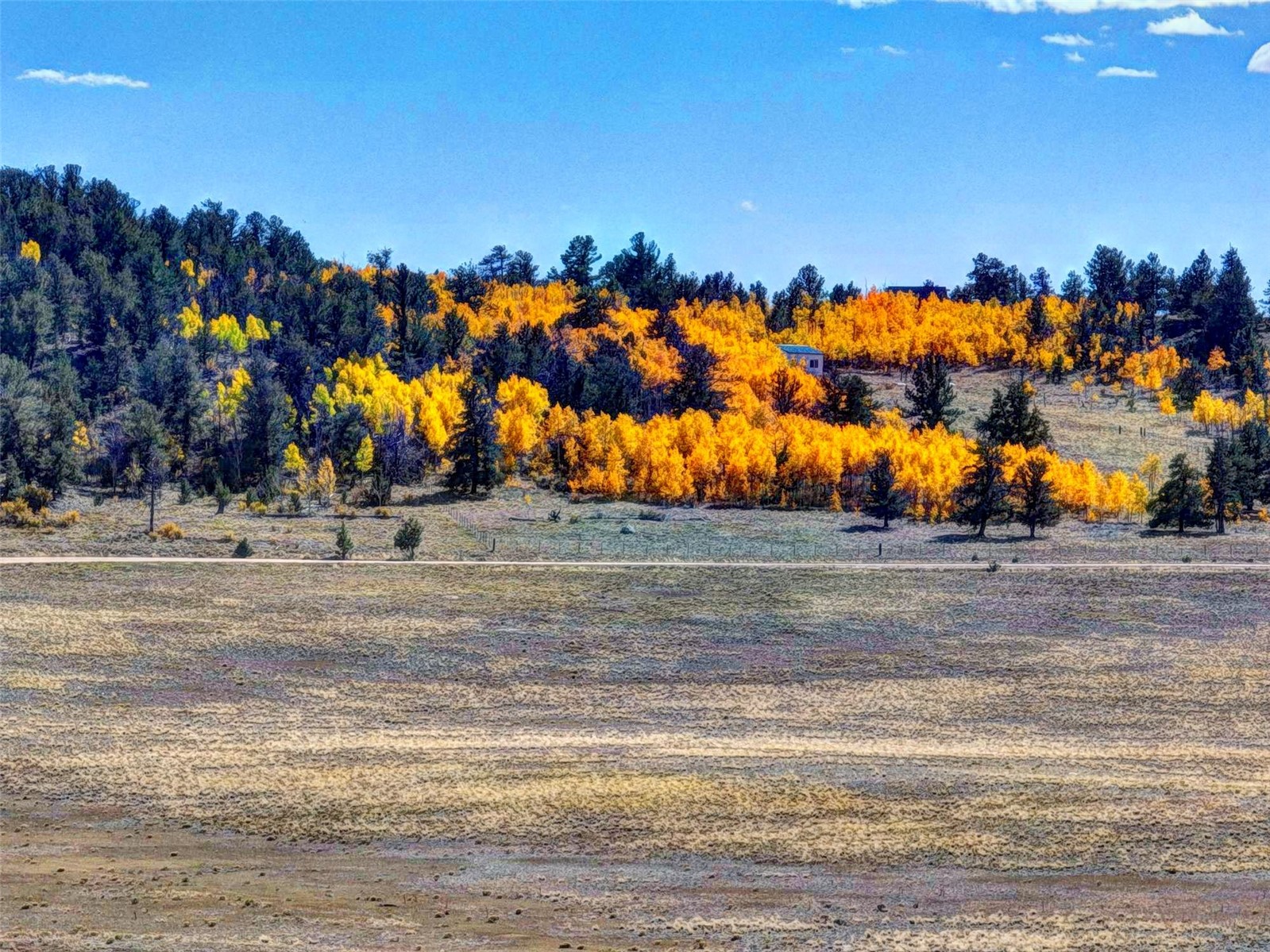236 Cheyenne Trail Hartsel, CO 80449 - Photo 10 of 24 a view of a park