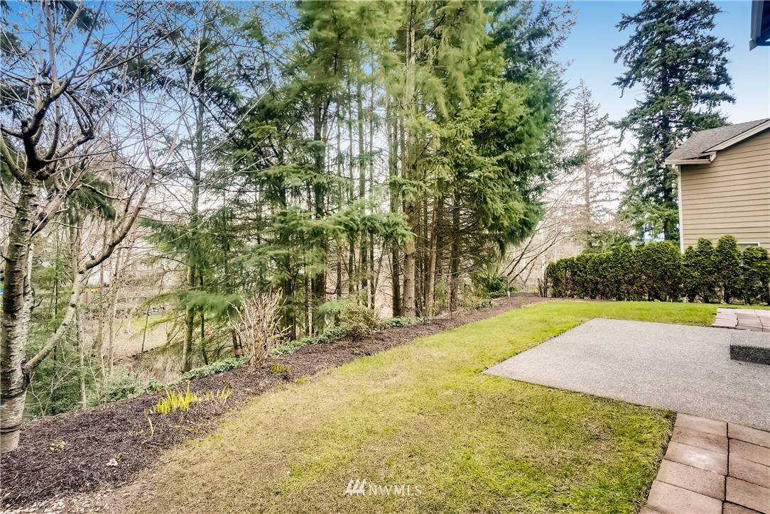 111 203rd Street Southeast Bothell, WA 98012 - Photo 29 of 31 a view of yard with swimming pool and trees