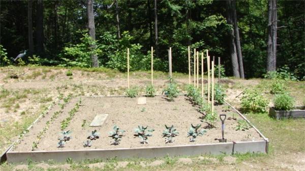 22 Churchill Road Templeton, MA 01468 - Photo 15 of 18