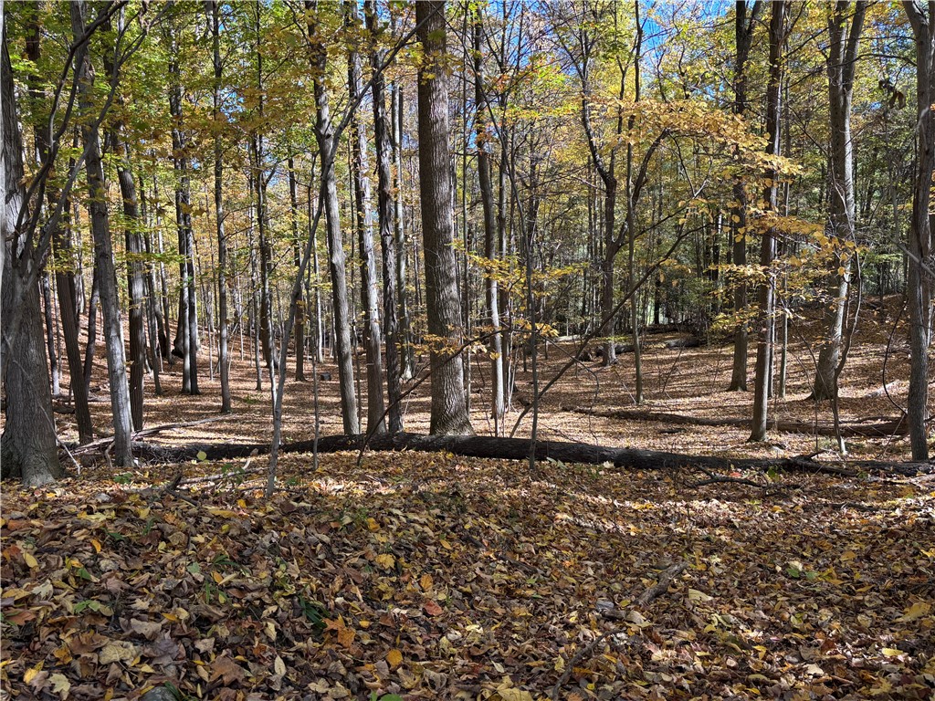 2507 Clayton Road Jerusalem, NY 14527 - Photo 20 of 23
